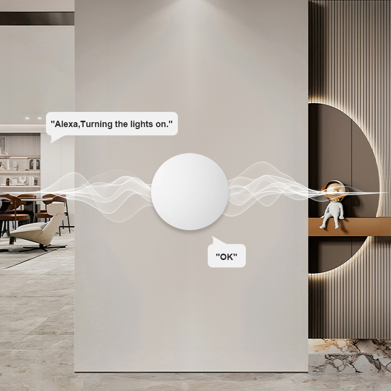 ZigBee Smart Wireless Button S - Smart Home Setup recensie en prijs