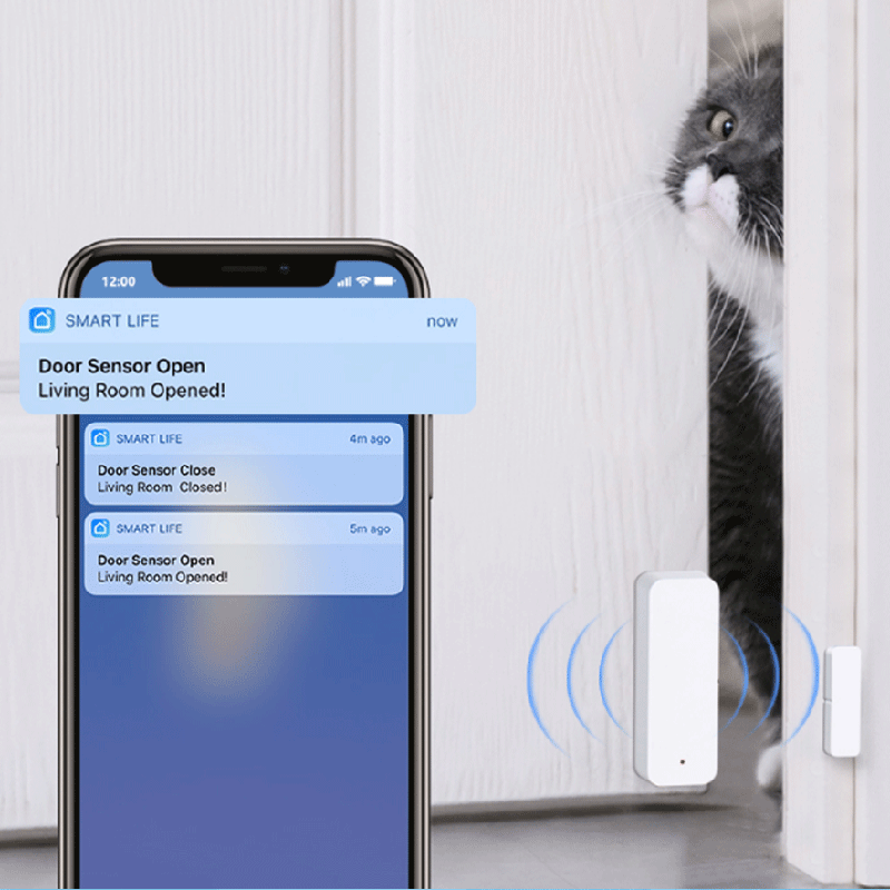 Tuya WiFi Zigbee Deur- en raam - Smart Home Solution recensie en prijs
