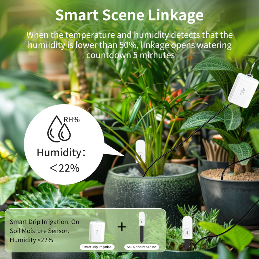 Slimme Zigbee 3.0 Bodemtester  - Smart Home Setup recensie en prijs